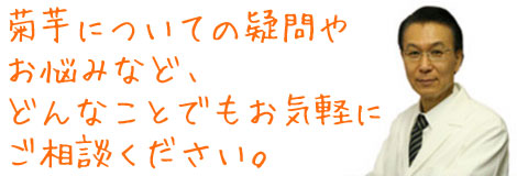 菊芋商品通販キクイモ専門/菊芋普及会