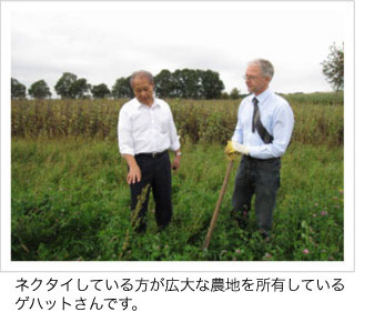菊芋商品通販キクイモ専門/菊芋普及会